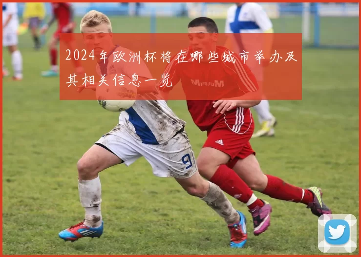 2024年欧洲杯将在哪些城市举办及其相关信息一览