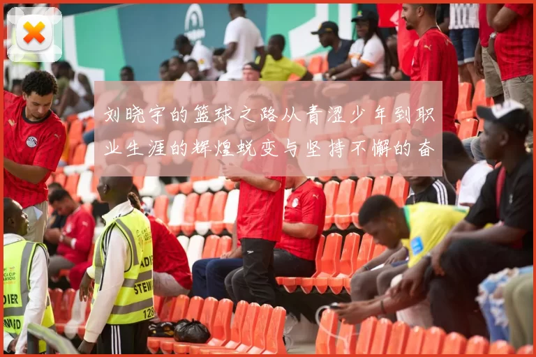 刘晓宇的篮球之路从青涩少年到职业生涯的辉煌蜕变与坚持不懈的奋斗精神