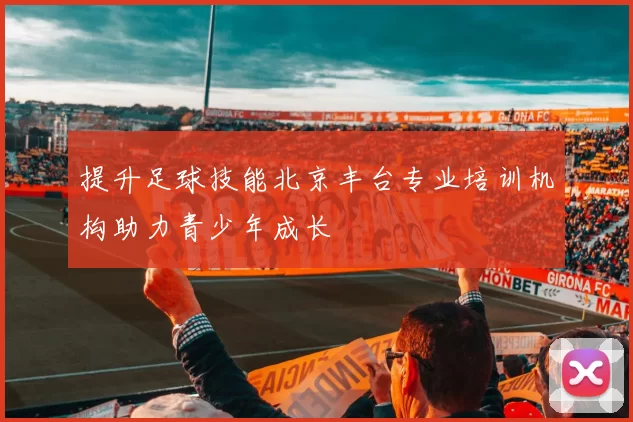 提升足球技能北京丰台专业培训机构助力青少年成长