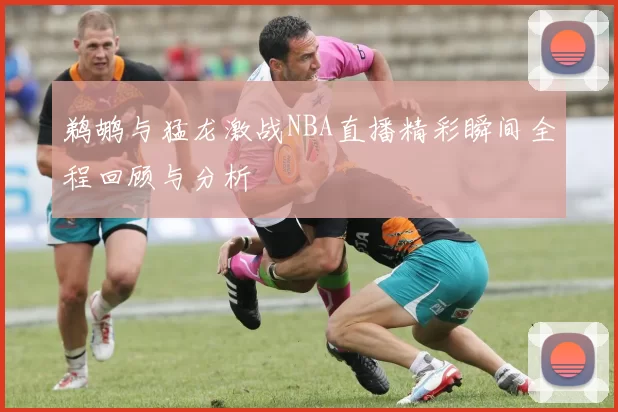 鹈鹕与猛龙激战NBA直播精彩瞬间全程回顾与分析